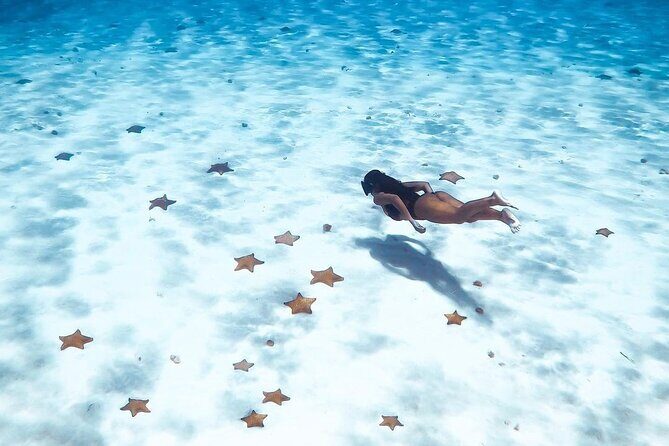 Exploration to El Cielo and Reefs: Live up close with stars - FAQ