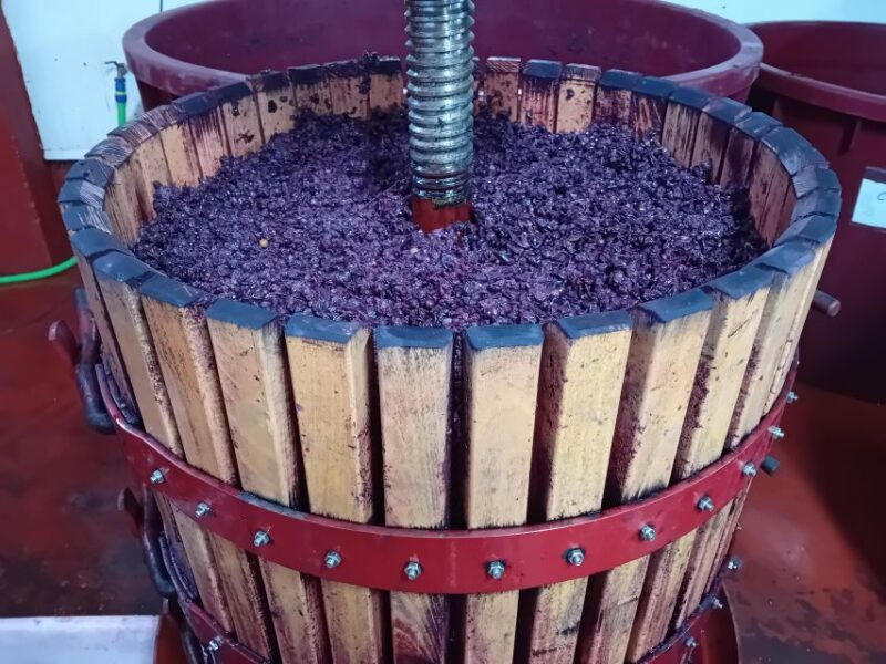 Explore 3 Ribera Del Duero Wineries With Madrid Pickup - Key Points