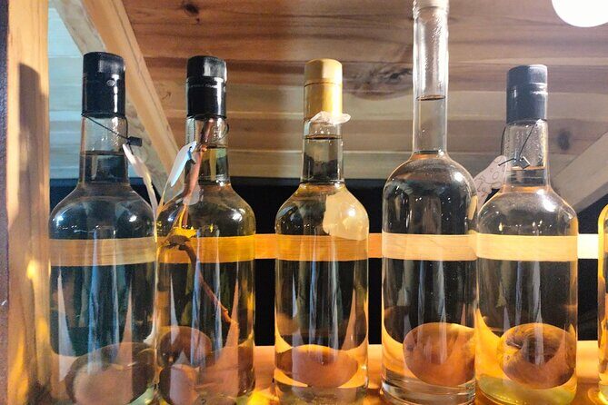 Explore 7 Artisanal Mezcals + Handcrafted Moles in Central Oaxaca - Practical Details and Tips