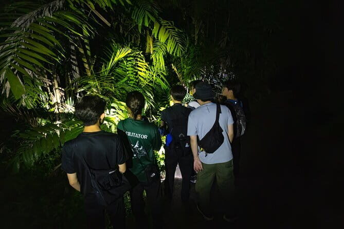 Explore a Rainforest teeming with Wildlife at Night! - Good To Know