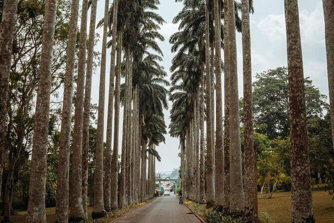 Explore Aburi Botanical Gardens And Boti Falls - The Itinerary in Detail: What to Expect