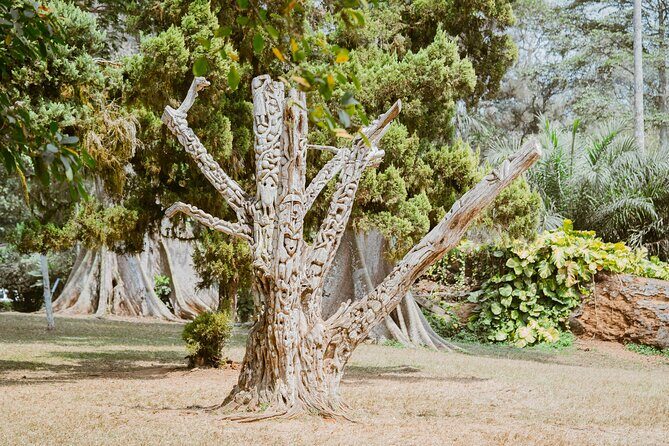 Explore Aburi Botanical Gardens And Boti Falls - Authentic Experiences from Past Travelers