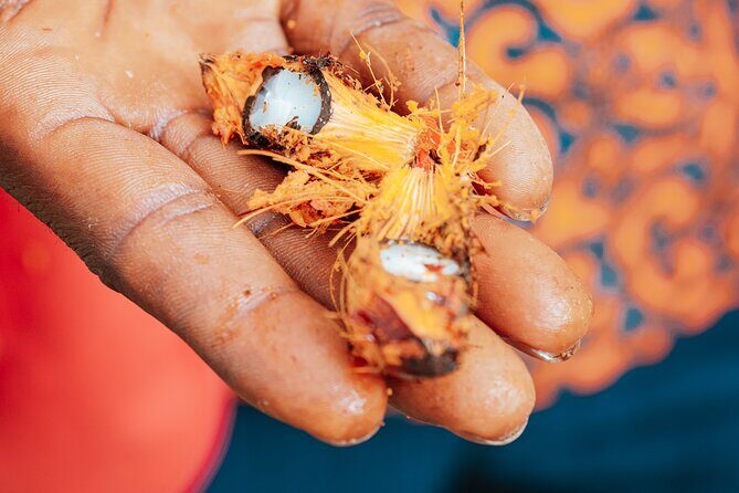 Explore Aburi Botanical Gardens And Boti Falls - Who Will Love This Tour?