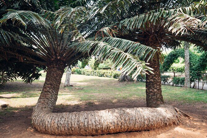 Explore Aburi Botanical Gardens And Boti Falls - The Sum Up