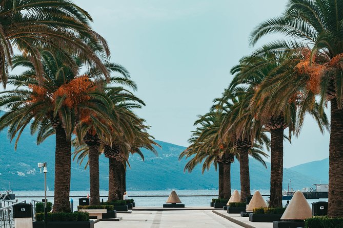 Explore Adriatic Coast of Montenegro - Private Budva & Tivat Tour - Frequently Asked Questions