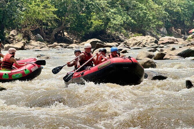 Explore All Day  Private Van & English-Speaking Guide/Driver - Who Should Book This Tour?