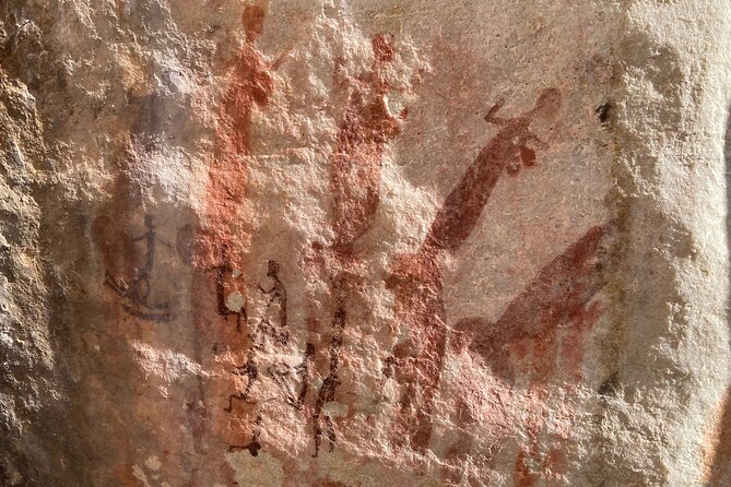 Explore Ancient Rock Art on a Private Guided Trip From Cape Town - Overview of the Trip