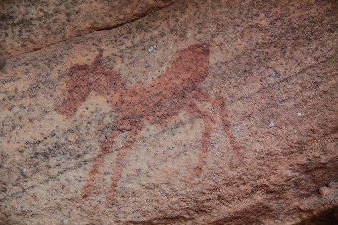 Explore Ancient Rock Art on a Private Guided Trip From Cape Town - Reviews and Questions