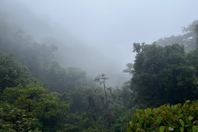 Explore and Learn on a Tour of the Magic Monteverde Cloud Forest - Tour Location and Inclusions