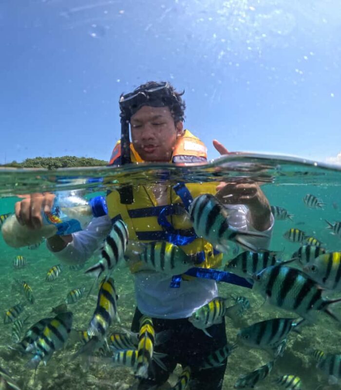 Explore and snorkeling Gili Nanggu Secret Island - Explore and Snorkeling Gili Nanggu Secret Island: A Detailed Review