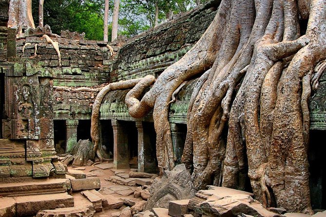 Explore Angkor Wat Temple , Bayon Temple and Jungle Temple Ta-Prohm - Tips for a Memorable Visit to Angkor Archeaological Park