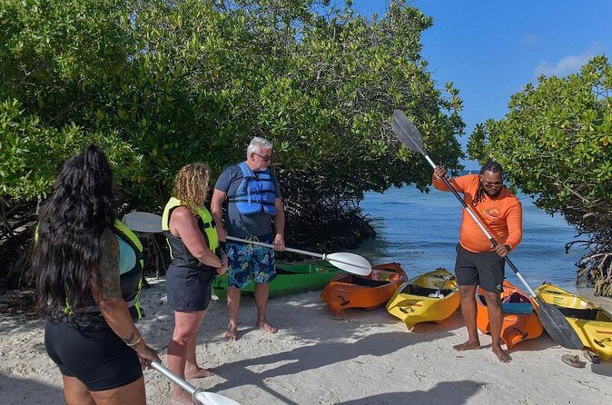 Explore Aruba Coastline with Kayaking Tour - An In-depth Look at the Experience