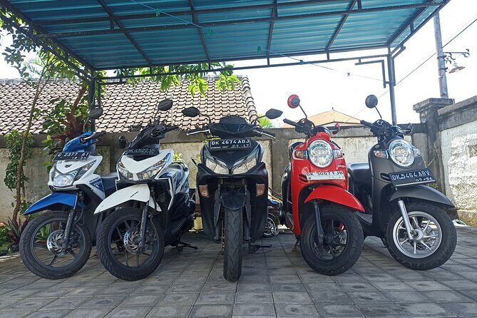 Explore Bali on Two Wheels - A Detailed Look at the Experience