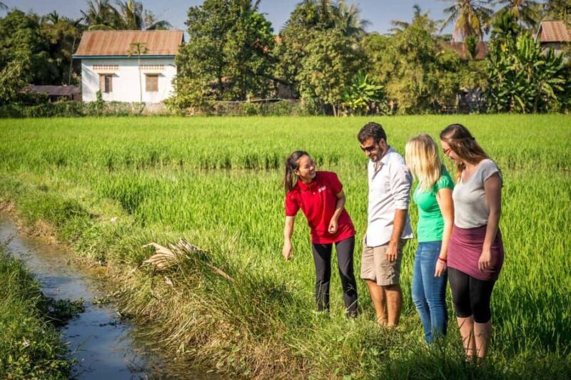 Explore Balis Rice Terraces: Private Guided Hiking Tour - The Sum Up