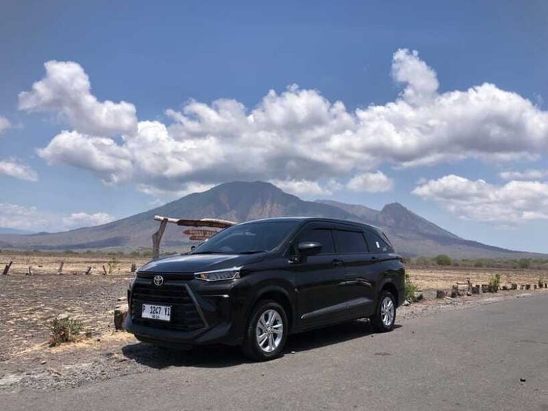 Explore Baluran By Menara Timur Tour & Travel - Who Will Love This Tour?