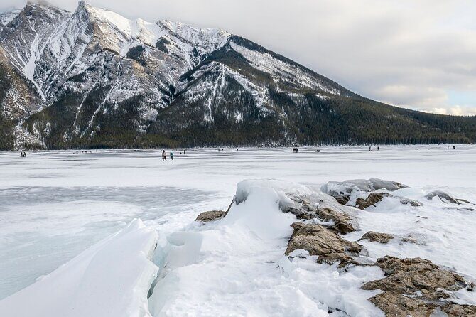 Explore Banff + Wildlife - Who Should Choose This Tour?