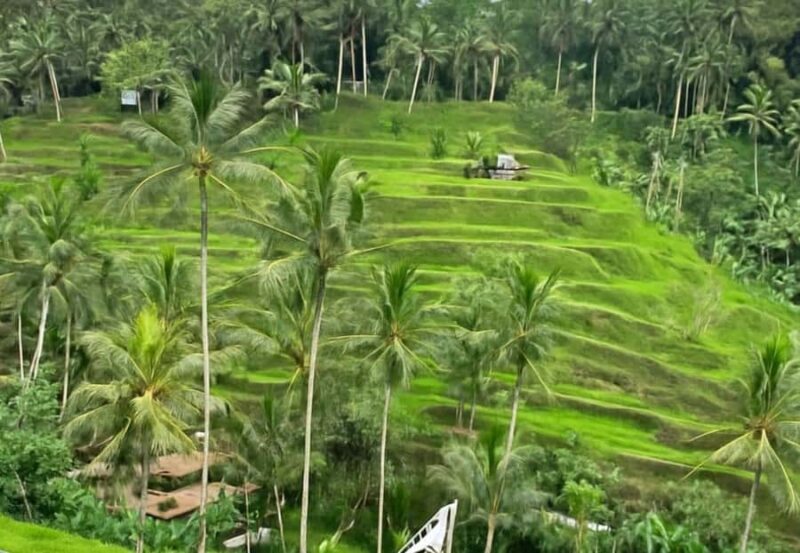 Explore Bangli: Traditional Market,Village,School & Coffee. - Final Thoughts