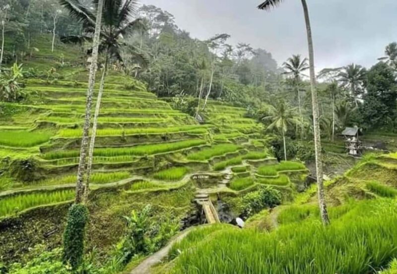 Explore Bangli: Traditional Market,Village,School & Coffee. - FAQs