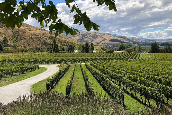 Explore Bannockburn Wineries & Private Wine Retreat by eBike - FAQs