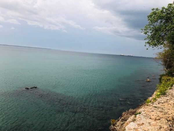 Explore Beautiful Trincomalee With a Tour Guide - What to Expect During the Tour