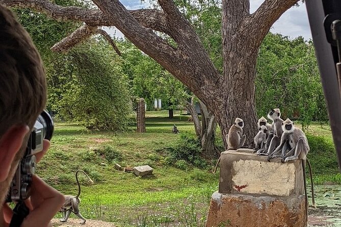 Explore Beauty Of Yala (Ruhuna) National Park From South Coast in One Day. - Information and Guidelines