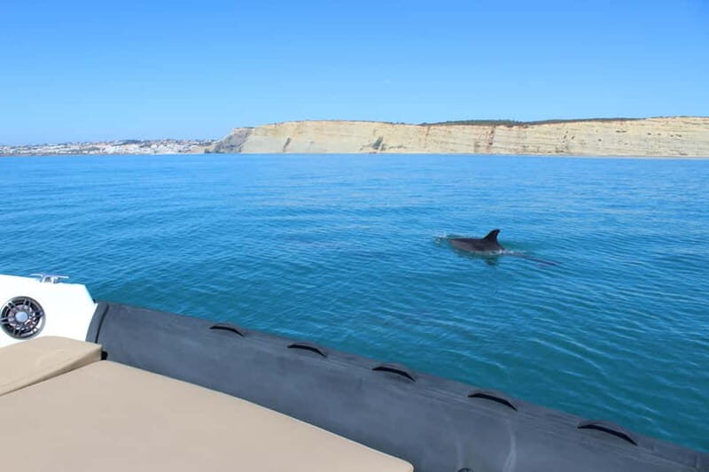 Explore Benagil, Ponta da Piedade and Dolphins in Algarve - Final Thoughts: Is This Tour For You?