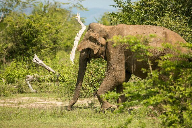 Explore Beyond the Ordinary - Good To Know