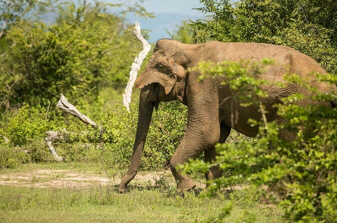 Explore Beyond the Ordinary - FAQ