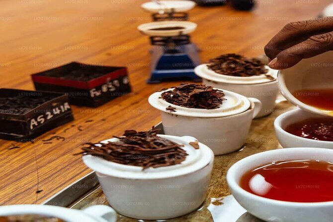 Explore Beyond the Ordinary - Practical Details and Value