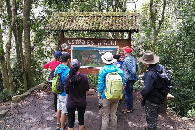 Explore Biodiversity in the Chicaque Cloud Forest Nature Reserve - Inclusions