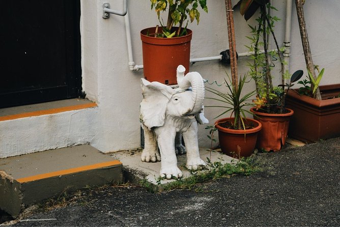 Explore Bohemian Tiong Bahru - Hidden Gems and Quirky Shops