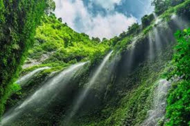 Explore Bromo Madakaripura Fall and Kawah Ijen (3D/2N) - Day 1 Activities