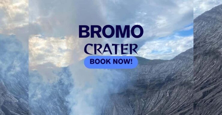 Explore Bromo Sunrise and Ijen Crater 3D/2N ( Private Tour) - Day 1 Highlights