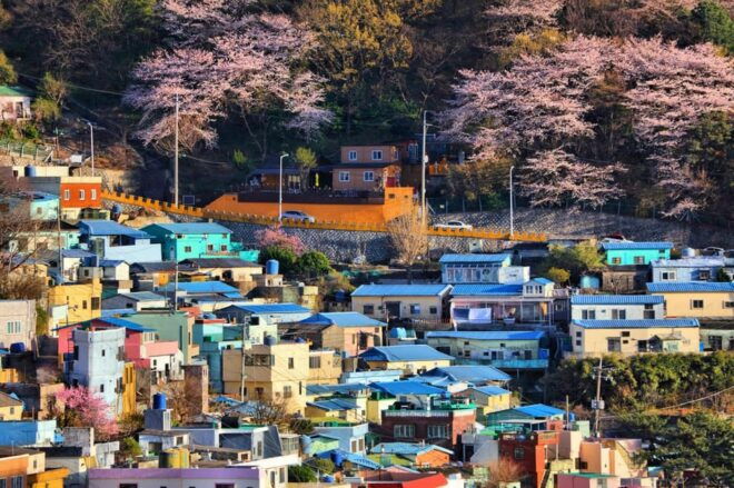 Explore Busan: Cultural Highlights and Scenic Full-Day Tour - Local Market Adventures