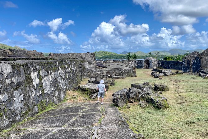 Explore Caribbean Beaches and Island Adventure - Tour Highlights