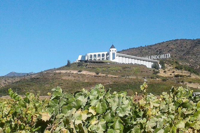 Explore Casablanca Valley Vineyards and Wine on Small Group Tour - Important Information