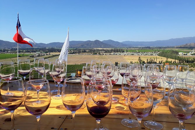 Explore Casablanca Valley Vineyards and Wine on Small Group Tour - Price and Booking Details