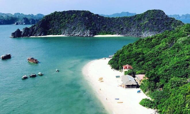 Explore Cat Ba Island From Ha Noi Capital and Back Easily - Transportation Options Available