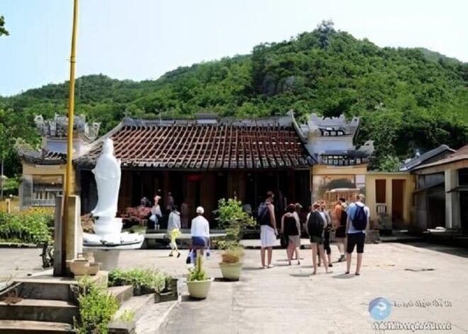 Explore Cham Island: Sightseeing and Snorkeling Adventure - Included and Excluded