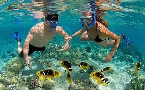 Explore Cham Island: Sightseeing and Snorkeling Adventure - Tips for Snorkeling