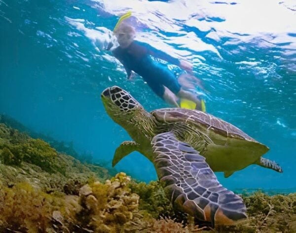 Explore Cham Island: Sightseeing and Snorkeling Adventure - Exploring Cham Islands Culture