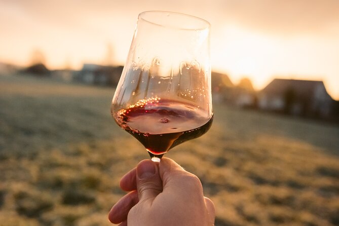 Explore Chiantis Beauty: E-Bike Tour & Wine Tasting - Good To Know