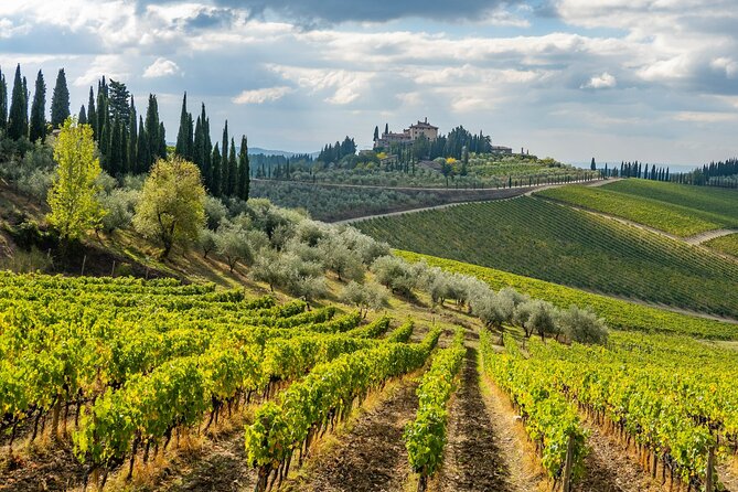 Explore Chiantis Beauty: E-Bike Tour & Wine Tasting - Meeting Point Details
