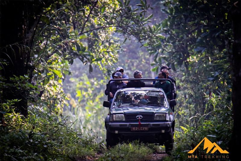 Explore Chitwan: 3-Day Culture, Wildlife & Jungle Tour - The jeep safari: Chitwan’s big wildlife draw