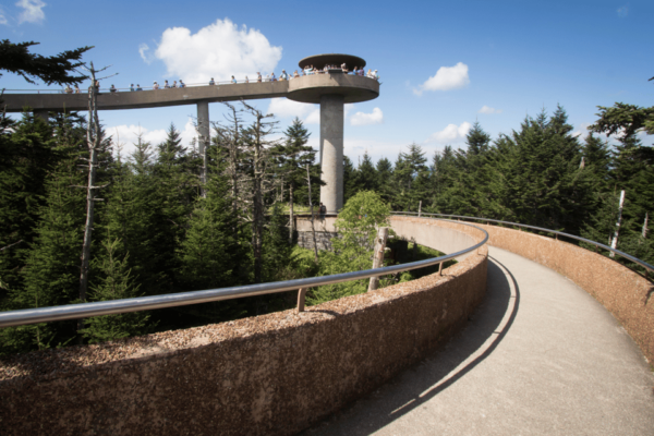 Explore Clingmans Dome: Scenic Walking Tour - Plane Crash Investigations