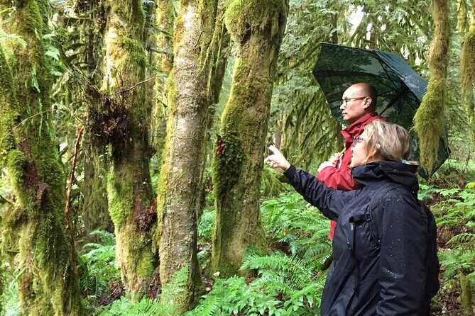 Explore Coastal Mountain Treasures: Scenic Hike from Squamish, BC - The Itinerary Breakdown