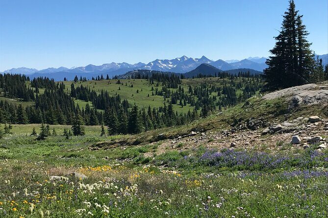 Explore Coastal Mountain Treasures: Scenic Hike from Squamish, BC - The Sum Up