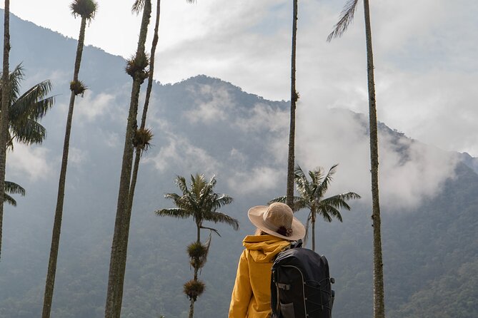 Explore Colombia's Vibrant Cities and Natural Wonders - Tour Highlights