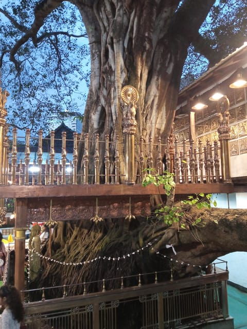 Explore Colombo CITY With Food and Drinks Formorning/Evening - Culinary Experiences