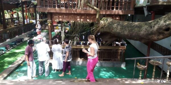Explore Colombo CITY With Food and Drinks Formorning/Evening - Inclusions and Accessibility Features